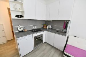 Kuchyň nebo kuchyňský kout v ubytování Apartment Cecilija