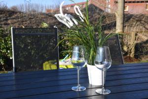 dois copos de vinho numa mesa com uma planta em vasos em Ferienhaus Carolinenwind em Carolinensiel