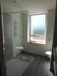 a bathroom with a shower and a window and a toilet at Monts et Rêves in Ramonchamp +54 photos