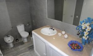 セビリアにあるCENTER SEVILLA (Wi-Fi). CATHEDRAL 3 MIN.のバスルーム(洗面台、トイレ、鏡付)