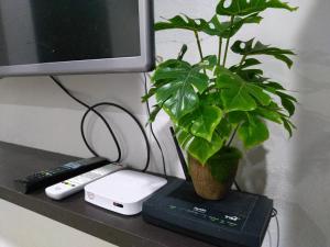 TV a/nebo společenská místnost v ubytování Nadrah Cottage