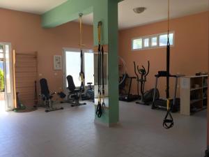 Fitness centrum a/nebo fitness zařízení v ubytování Alexia Ferentinou