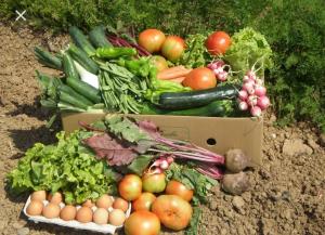 Fotografie z fotogalerie ubytování Apartamento en casa de campo cerca de la playa v destinaci Pals + 16 fotografií