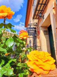 a group of yellow flowers in front of a building at Alojamientos Carmen in Beteta