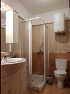 a bathroom with a shower and a toilet and a sink at Apartamento Hill Valley in Los Llanos de Aridane +13 photos