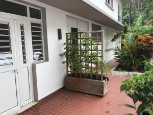 uma porta para uma casa com uma planta em L'Escale du Mouillage em Saint-Pierre