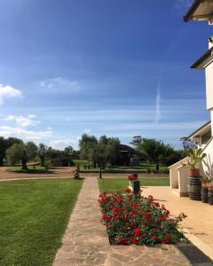 un jardín con flores rojas en un patio en Villa Olga, en Tarquinia