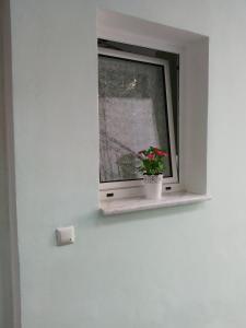 Fotografia z galérie ubytovania Falopa Apartments v destinácii Parga