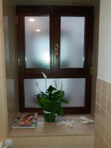 ein Badezimmer mit einem Fenster und einer Pflanze auf einer Theke in der Unterkunft Fiore della Laguna in Venedig