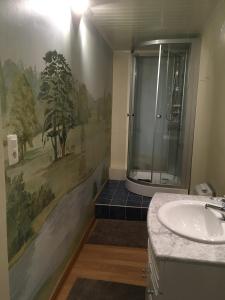 uma casa de banho com um chuveiro e um lavatório. em Gite la Truite a Mouzaive em Vresse-sur-Semois