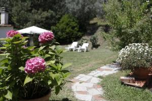 Zahrada ubytování Casa Virgilio