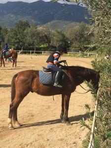 a person sitting on top of a brown horse at Dolce Bungalow R5915 in Pula