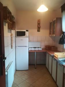 a kitchen with a white refrigerator and a microwave at Magellan in Cisna