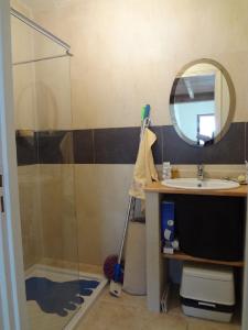 La salle de bains est pourvue d'une douche, d'un lavabo et d'un miroir. dans l'établissement Cottage provençal, à Belgentier