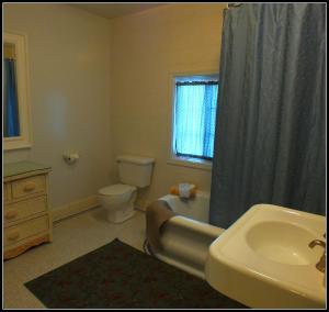 e bagno con lavabo e tenda per la doccia. di Sunnyside Inn Bed &Breakfast a Sunnyside