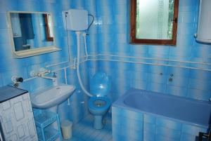 a blue bathroom with a toilet and a sink at Guest House Ozon in Soko Banja +35 photos