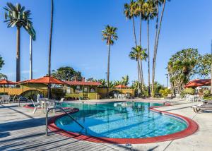 a pool at a resort with palm trees at Vagabond Inn Costa Mesa in Costa Mesa