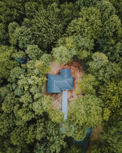 Fotografie z fotogalerie ubytování Vineyard Woods v destinaci Geneva