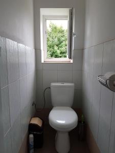 ein kleines Bad mit einem WC und einem Fenster in der Unterkunft Vila Valéria in Tatranská Lomnica