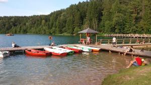 Verkių Namelis في فيلنيوس: مجموعة من القوارب متوقفة على رصيف على بحيرة