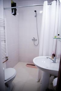 a bathroom with a sink and a shower with a toilet at Casa de sub deal in Bîltişoara +48 photos