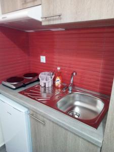 Kuchyň nebo kuchyňský kout v ubytování Villa Konstantinos