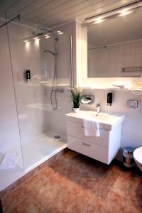 a bathroom with a shower and a sink and a mirror at Hotel "Am Fischhof" in Weißensee