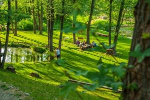 un grupo de personas en un parque con un estanque en Villa Judita, en Moravany nad Váhom