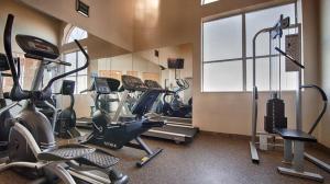 Fitness centrum a/nebo fitness zařízení v ubytování Best Windsor Inn