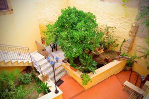 Vonkajšia záhrada v ubytovaní B&B Il Melograno Antico con Terrazza e Giardino