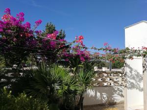 Κήπος έξω από το Casa vista Mare