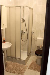 uma casa de banho com um chuveiro, um WC e um lavatório. em Studio Apartman PIC em Njivice