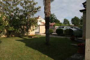 Fotografie z fotogalerie ubytování Family house on private property with pool v destinaci Žbandaj