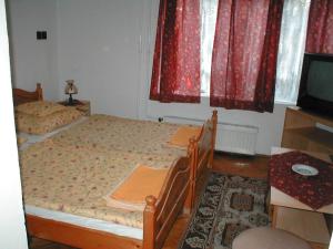 a bedroom with two twin beds and a television at Krisztina Panzió in Balatonalmádi