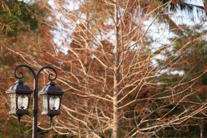 two street lights with a tree in the background at Sweet Heart B&B in Ji'an