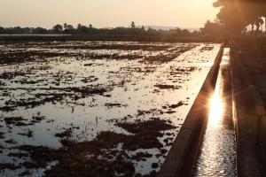 een overstroomd veld bij zonsondergang met de zon reflecterend op het water bij Sweet Heart B&B in Jian