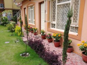 a row of potted plants on the side of a house at Aarya Chaitya Inn in Kathmandu