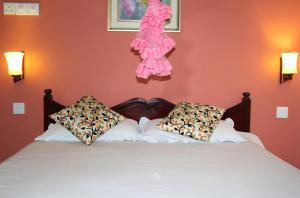 a bedroom with a bed with a pink wall at Holiday Guest Inn in Negombo