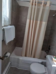 y baño con aseo y cortina de ducha. en Hilltop Motel, en Kingston