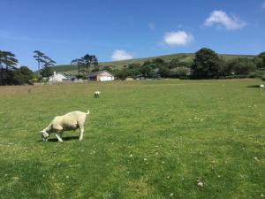 Gallery image of Plas Y Nant in Llwyngwril