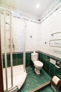 łazienka z toaletą, prysznicem i toaletą w obiekcie Амулет на Малой Морской w Petersburgu