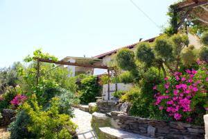 En hage utenfor Walnut Tree Farm