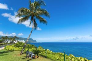 a palm tree and two benches in front of the ocean at Plantations at Princeville #1312 in Princeville +6 photos