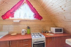 a kitchen with a stove and a microwave in a cabin at Domki z Dusza in Bańska Niżna