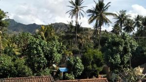 a view of a jungle with palm trees and bushes at Bali Sari Homestay in Amed