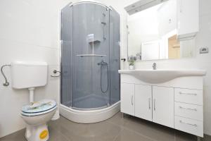 a bathroom with a shower and a toilet and a sink at Apartmani Rudi in Vir