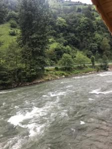 Táj az apartmanhotel közelében