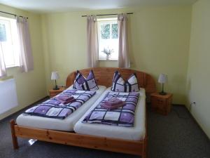 a bedroom with two beds and two windows at Pension Prietzel in Dorf Wehlen