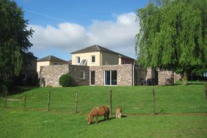 two horses grazing in a field in front of a house at Bungalowpark Landsrade in Gulpen