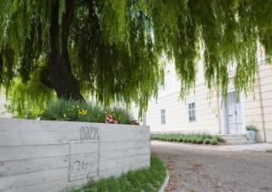 Um jardim no exterior de OBENauf in Unternalb